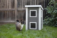 NewAge Feral Cat 2 Storey Townhouse Gray And White