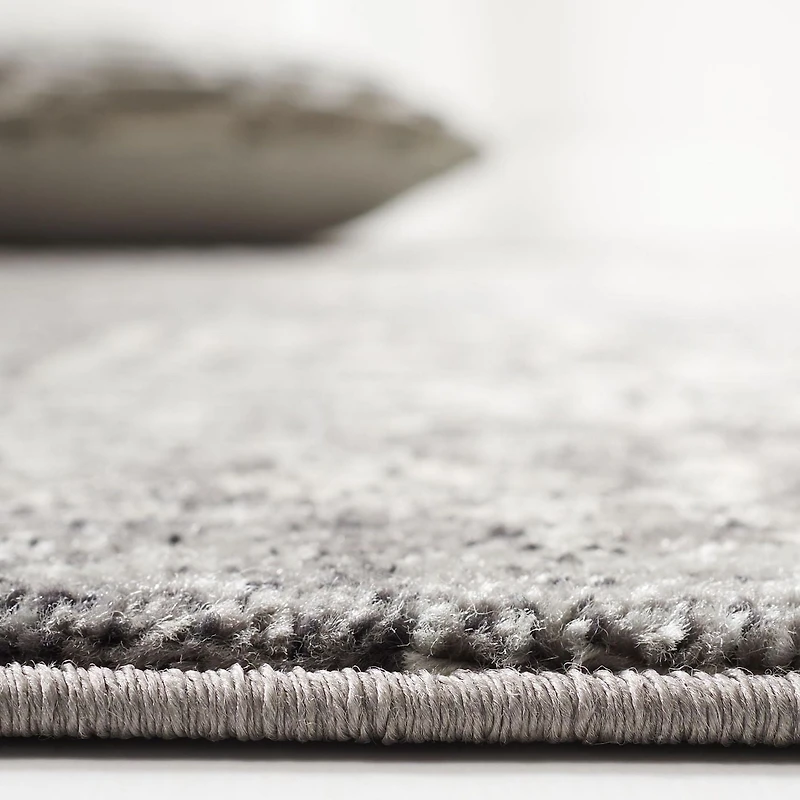 Safavieh Evoke Trena Tapis Traditionnel