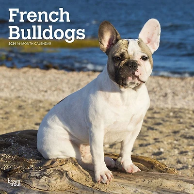 BrownTrout Bouledogue français 2024 Mur Carré 30.48x60.96 CM, 9781975462758