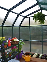 Rion 8 ft. X 8 ft. Prestige Greenhouse