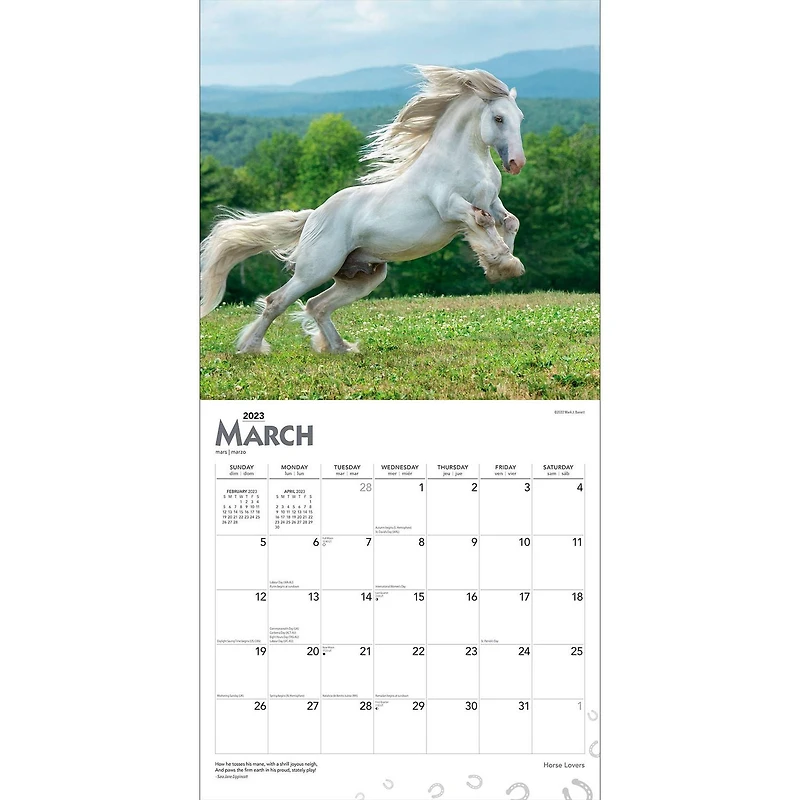 Horse Lovers | 2023 12x24 Inch Square Wall Calendar