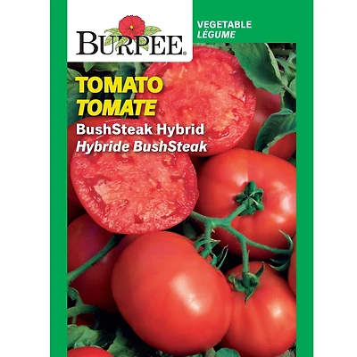 Burpee BushSteak Tomate hybride