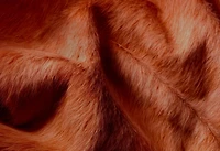Geneva Cowhide Rug