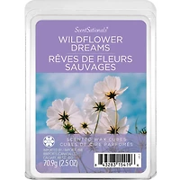 ScentSationals, Scented Wax Cubes, Wildflower Dreams