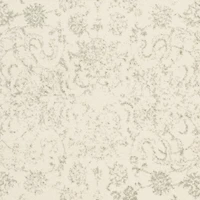 SAFAVIEH Adirondack Wyatt Traditional Area Rug