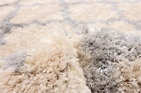 ECARPET Trellis Frieze Area Rug Fluffy Carpet for Bedroom, Ultra Soft & Plush Annica Collection