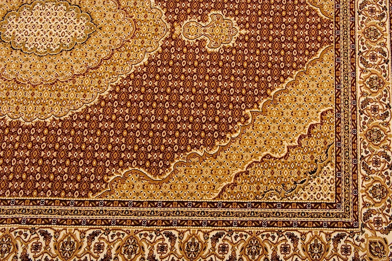 Tapis d'intérieur marocain Branch Majestic 2' x 5' (taille exacte : 2'3" x 5'), rouge beige, traditionnel - Entrée, couloir, salle de bain et cuisine