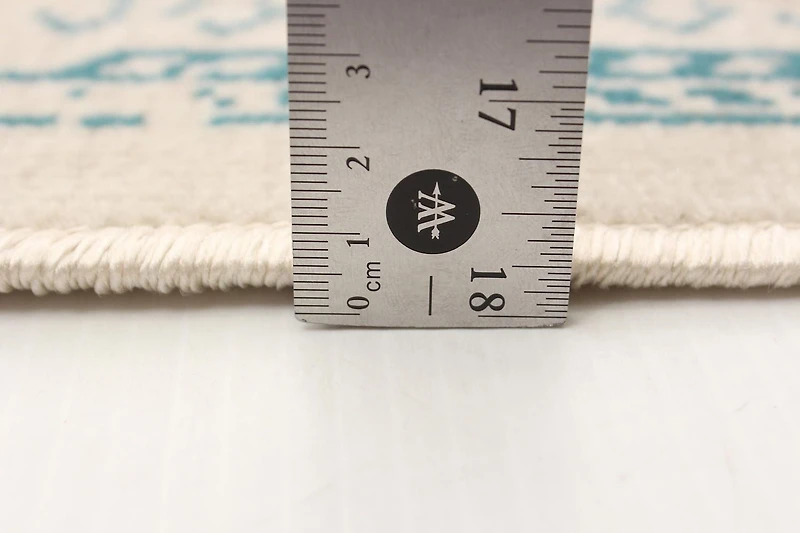 Tapis ECARPET de Style Traditionnel pour Salle à Manger, Salon et Chambre à Coucher Wilby Vert