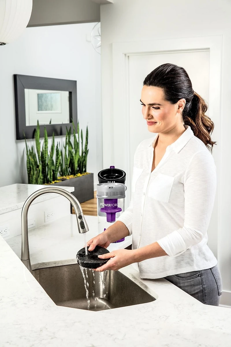 PowerForce® Bagless Upright Vacuum