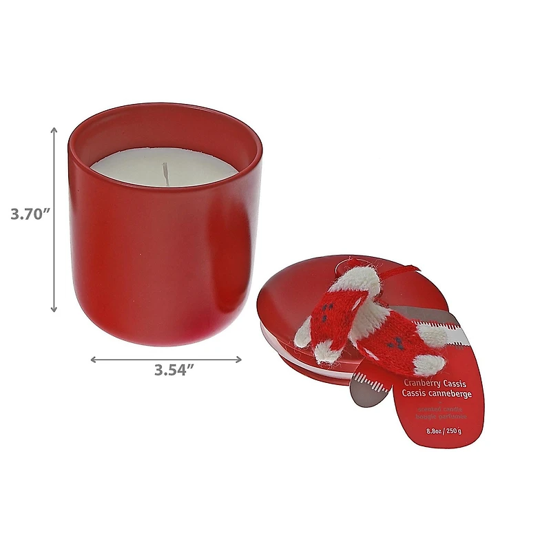 Bougie 8,8 Oz Et Gant Tricoté Canneberge Cassis