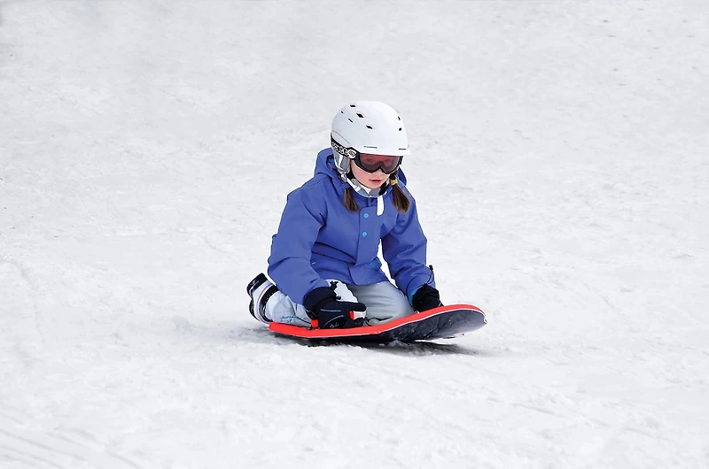 Silly Bear 33 Inch Foam Sled