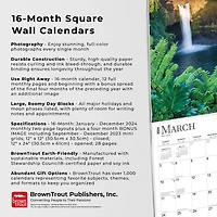 BrownTrout Tropical Islands 2024 12x24 Inch Square Wall Calendar, 9781975465452