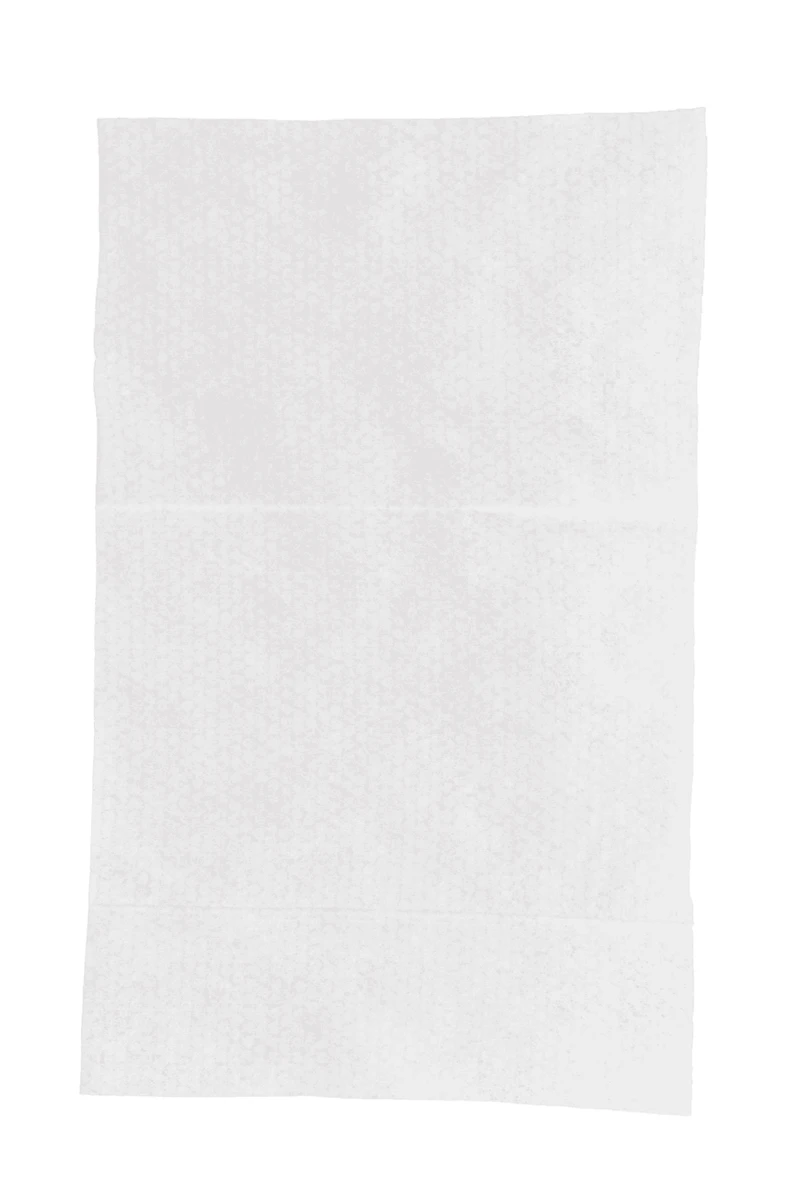 Big 'N Thick Pet Wipes