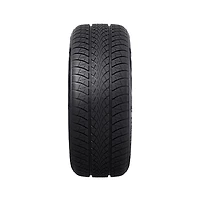 TRIANGLE WINTERX TW401 215/60R17 100V Tire