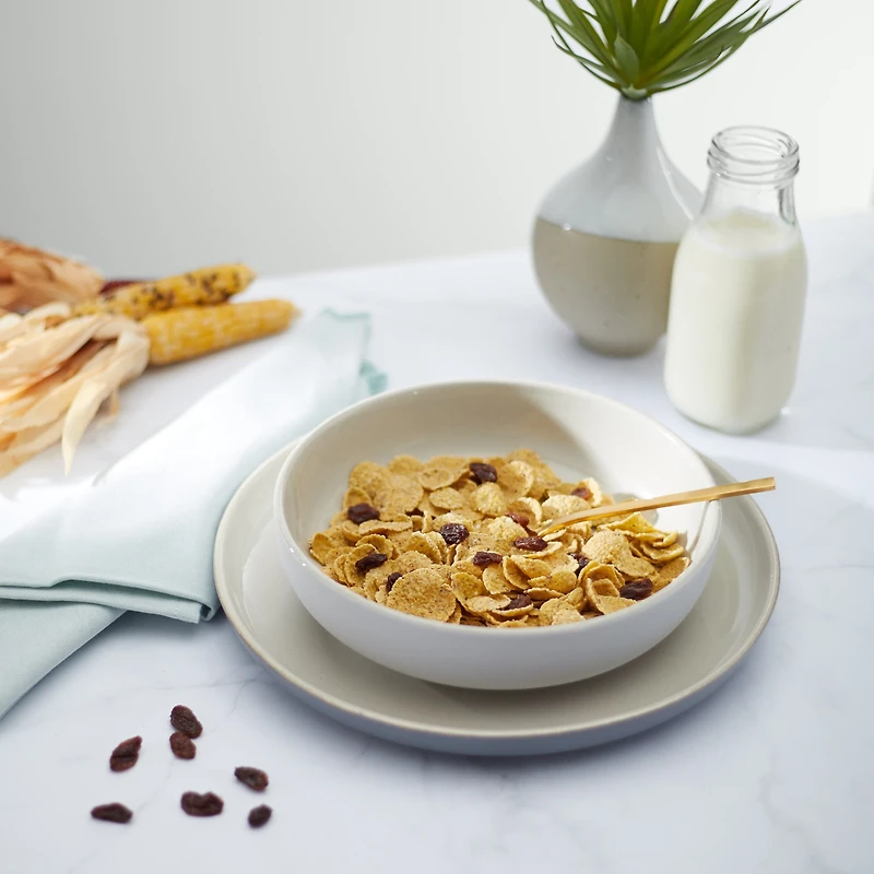 Nature's Path Mesa Sunrise® aux Raisins Secs 825G