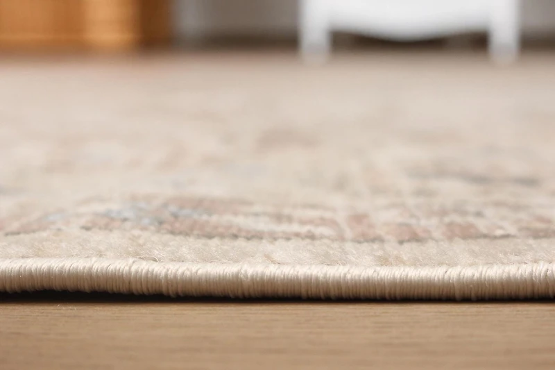 ECARPET Arden Traditional Area Rug for Living Room, Bedroom, Dining Room, Entrance
