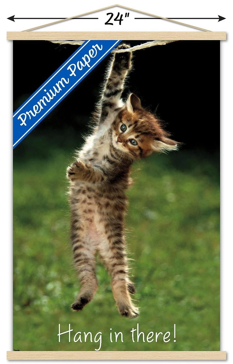 Célèbre chaton accroché là-bas Poster