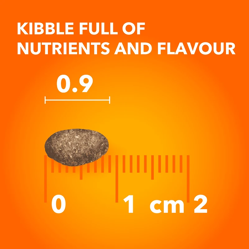 IAMS PROACTIVE HEALTH Healthy Senior Dry Cat Food with Chicken, 3.18kg Bag