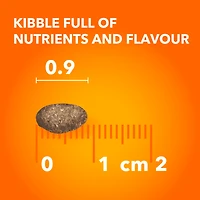 IAMS PROACTIVE HEALTH Healthy Senior Dry Cat Food with Chicken, 3.18kg Bag