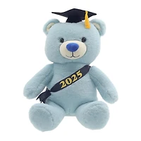 2025 Graduation 12" Blue Teddy Bear Plush