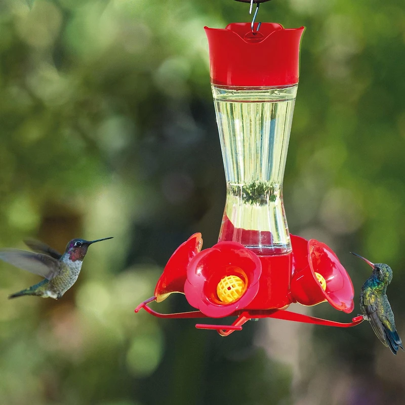 Perky-Pet Pinch Waist Glass Hummingbird Feeder, 8 oz wide mouth bottle