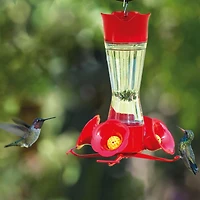 Perky-Pet Pinch Waist Glass Hummingbird Feeder, 8 oz wide mouth bottle