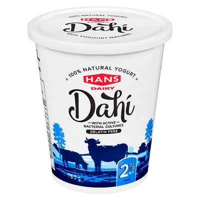 Hans Dairy Dahi 2% M.F. Natural Yogurt