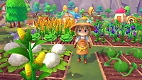 Jeu vidéo Sugardew Island pour (Nintendo Switch)