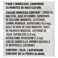 Dentyne Ice Peppermint, Sugar Free Gum, 4 pack (12 pieces per pack), 48 count