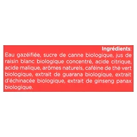 GURU Organic Energy 4 x 250 mL, Cans, 4x250mL