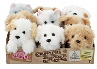 Scruffy Scruffies Animaux Chiot Cooper