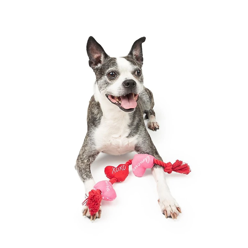 One Paw, Valentine Rope Dog Toy with Hearts, Red and Pink, Tug of War Toy