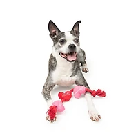One Paw, Valentine Rope Dog Toy with Hearts, Red and Pink, Tug of War Toy