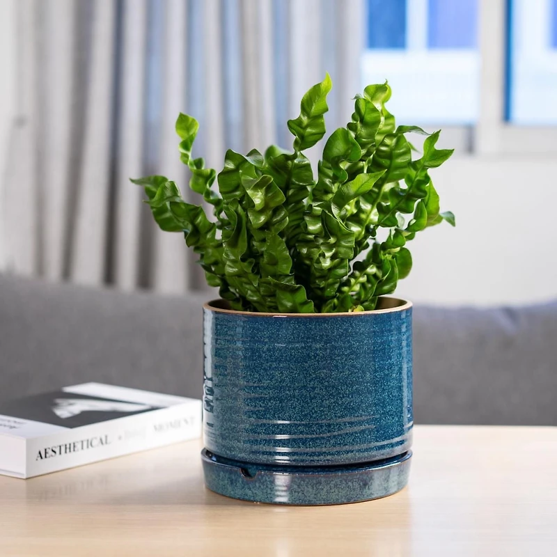 Better Homes & Gardens 6" Ceramic Round Planter Pot-Teal, Flower pot