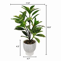 Lerman Decor's plant in cement pot, artificial plant