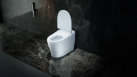 Ecoway Deluxe 1-Piece 1.28GPF Single Flush Elongated Standard Tankless Smart Bidet Toilet in White