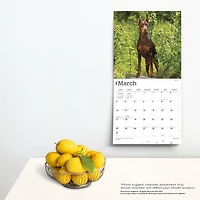 BrownTrout Dobermans 2024 Mur Carré 30.48x60.96 CM, 9781975462581