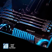 Kingston Fury Beast  64GB 5200MT/s DDR5 CL40 XMP 3.0 Ready Computer Memory, Kit of 2 (KF552C40BBK2-64)