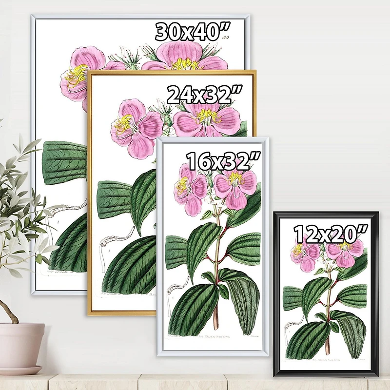 Designart Vintage Plant Life XXIII FLOAT FRAME WALL ART
