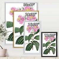 Designart Vintage Plant Life XXIII FLOAT FRAME WALL ART