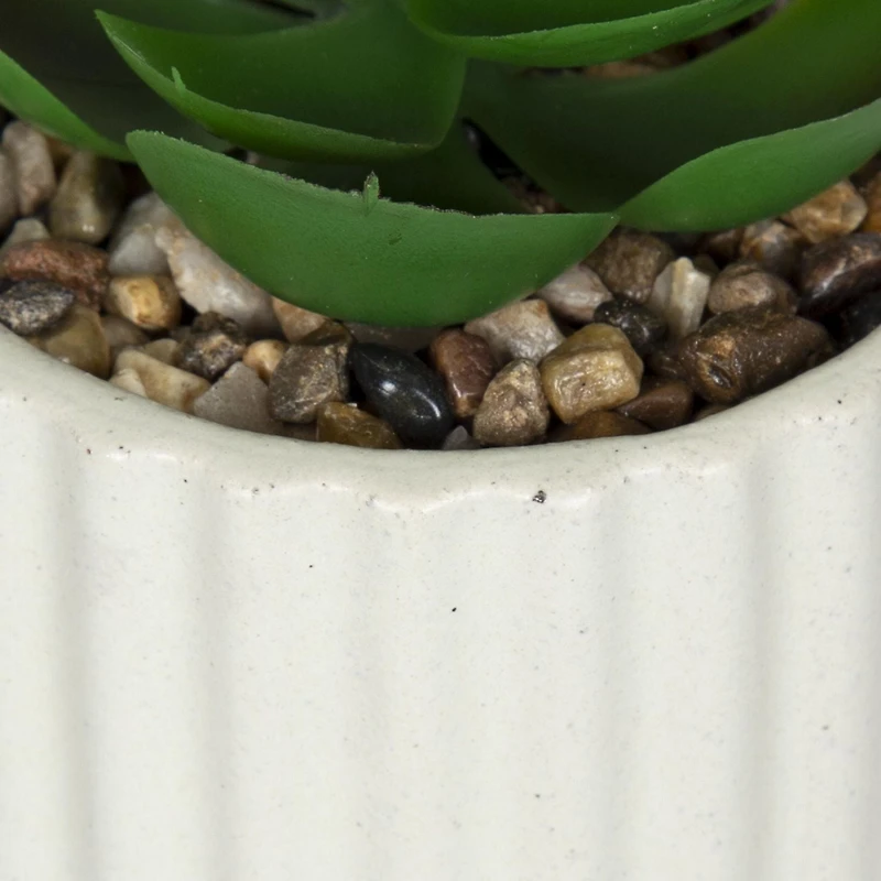 hometrends Cozby Faux Succulent in Cream Pot