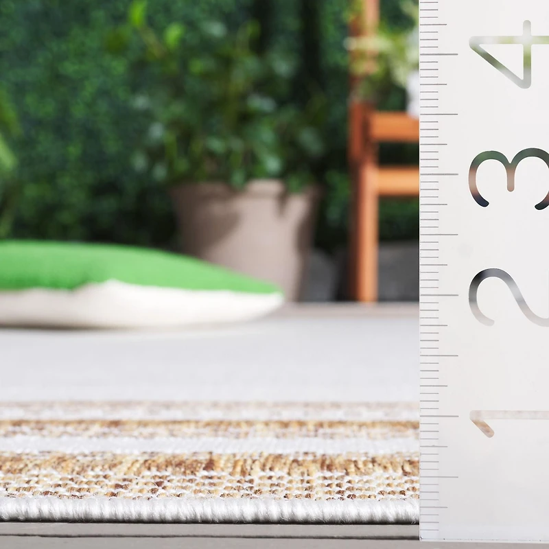 SAFAVIEH Beach House Carlie Bordered Indoor/Outdoor Area Rug