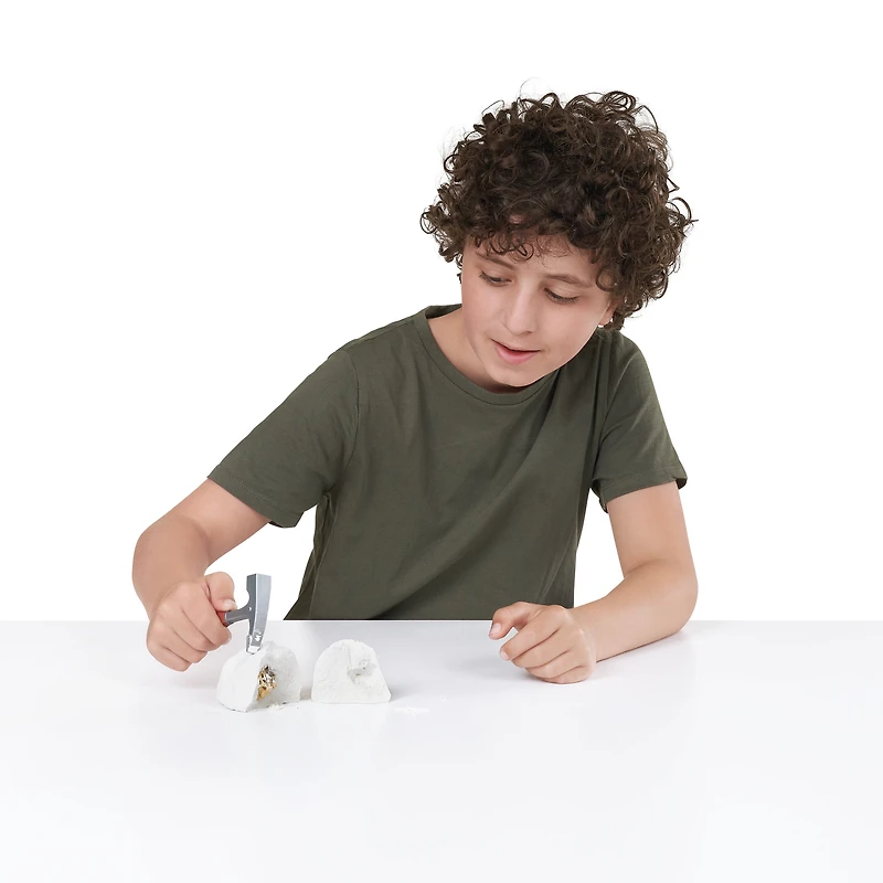 Robo Alive Mega-Dino Fossil Find by ZURU Boys 4-8 Dig and Discover - T-rex and Brontosaurs - STEM -Excavate Prehistoric Fossils, Educational Toys, Great Science Kit Gift for Girls and Boys