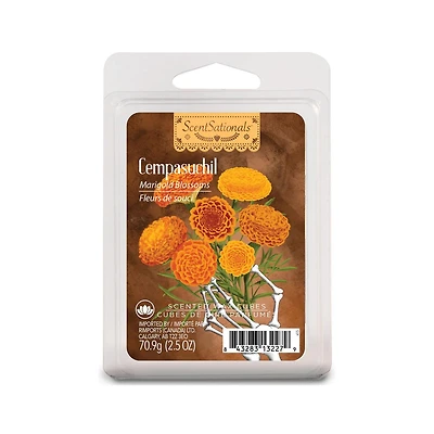 Cubes de cire parfumée ScentSationals - Cempasuchil Fleurs de Souci
