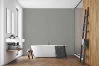 Rust-Oleum Colour Spark™ Peinture + Apprêt, Intérieur Coquille d'oeuf, Échelle De Gris 3,78L 3,78L