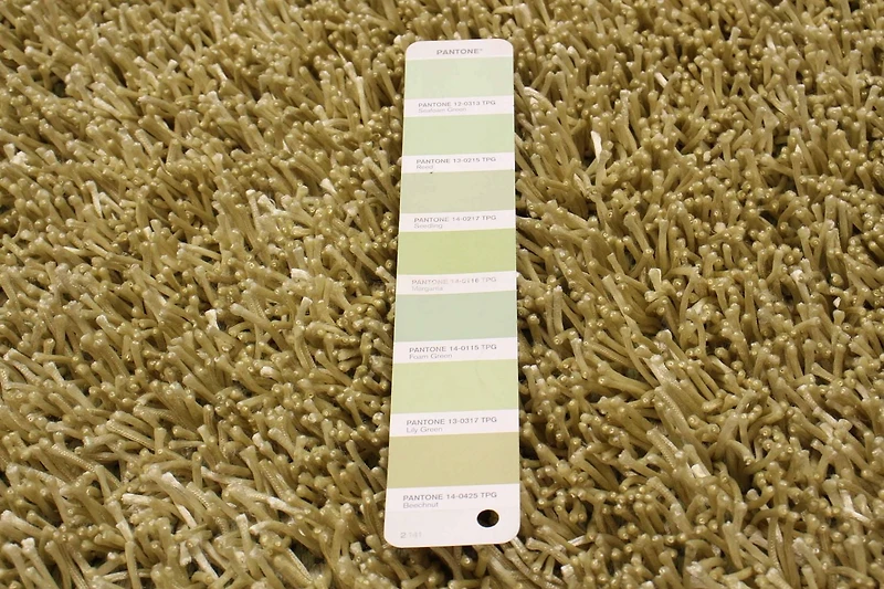 ECARPETGALLERY Metro Plush Light Green Shag 5'0" x 8'0"