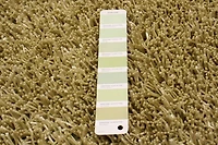 ECARPETGALLERY Metro Plush Light Green Shag 5'0" x 8'0"