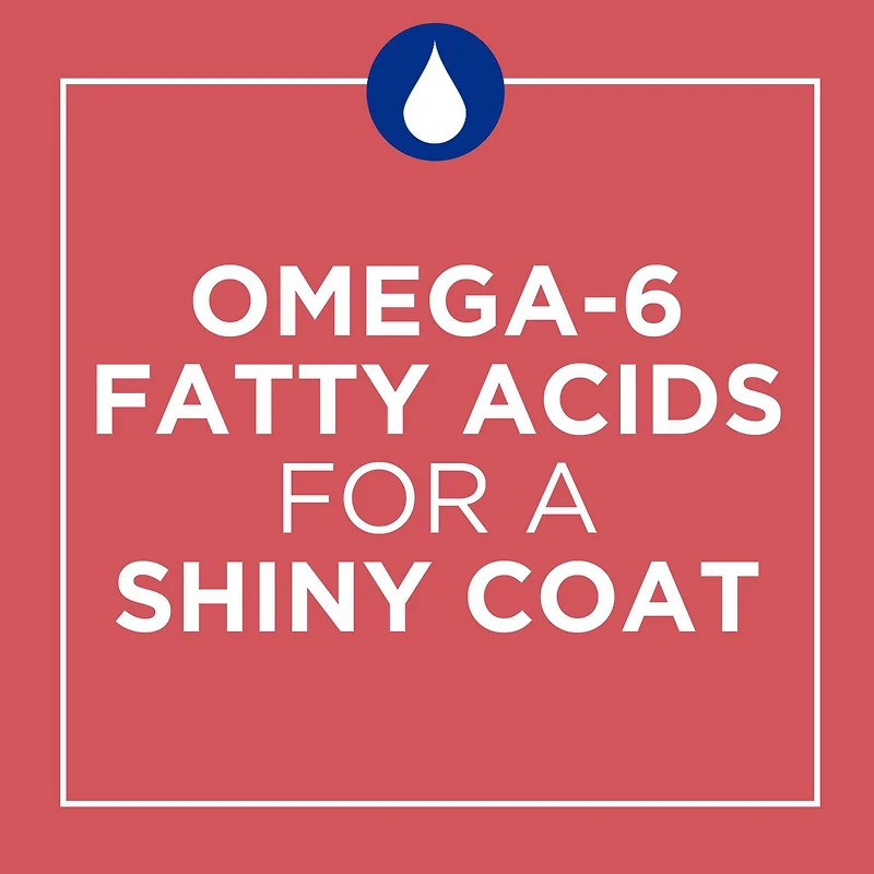 Cat Chow Complète avec Vrai Saumon, Nourriture Sèche pour Chats 1,6-6,4 kg