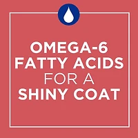 Cat Chow Complète avec Vrai Saumon, Nourriture Sèche pour Chats 1,6-6,4 kg