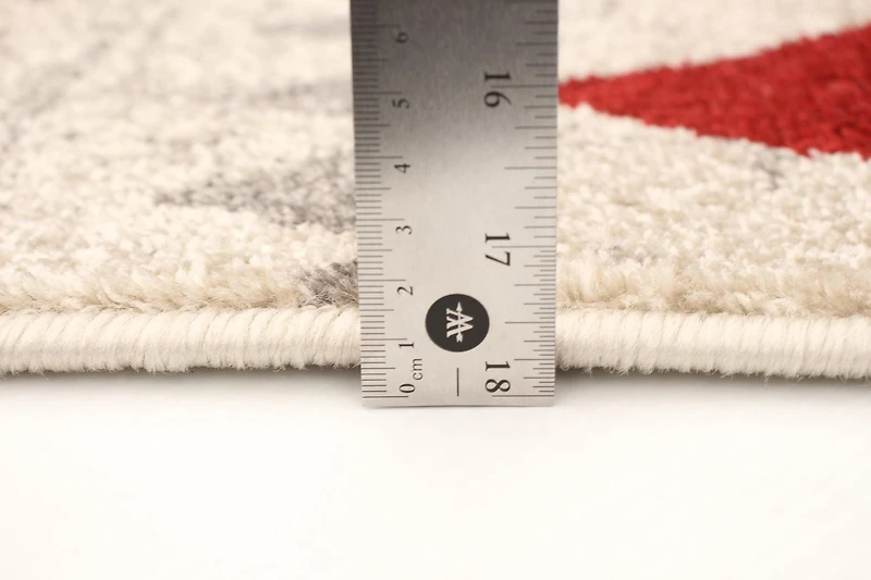 ECARPET Modern Geometric Indoor Area Rug Remi Collection